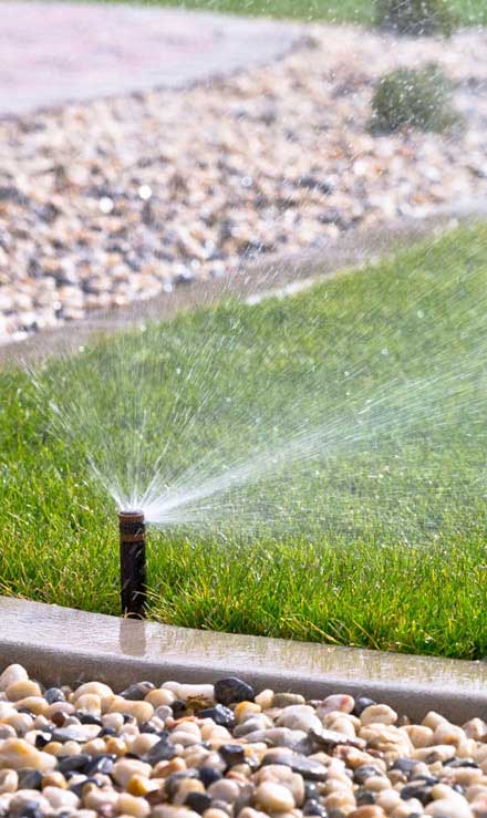True Vine Landscape Management, Inc. Sprinkler System Repairs