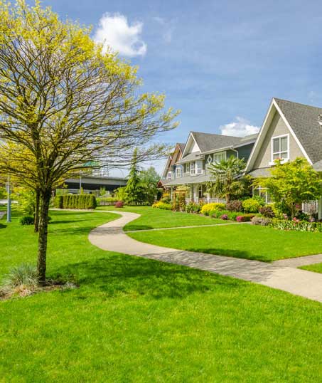 True Vine Landscape Management, Inc. Residential Lawn Care